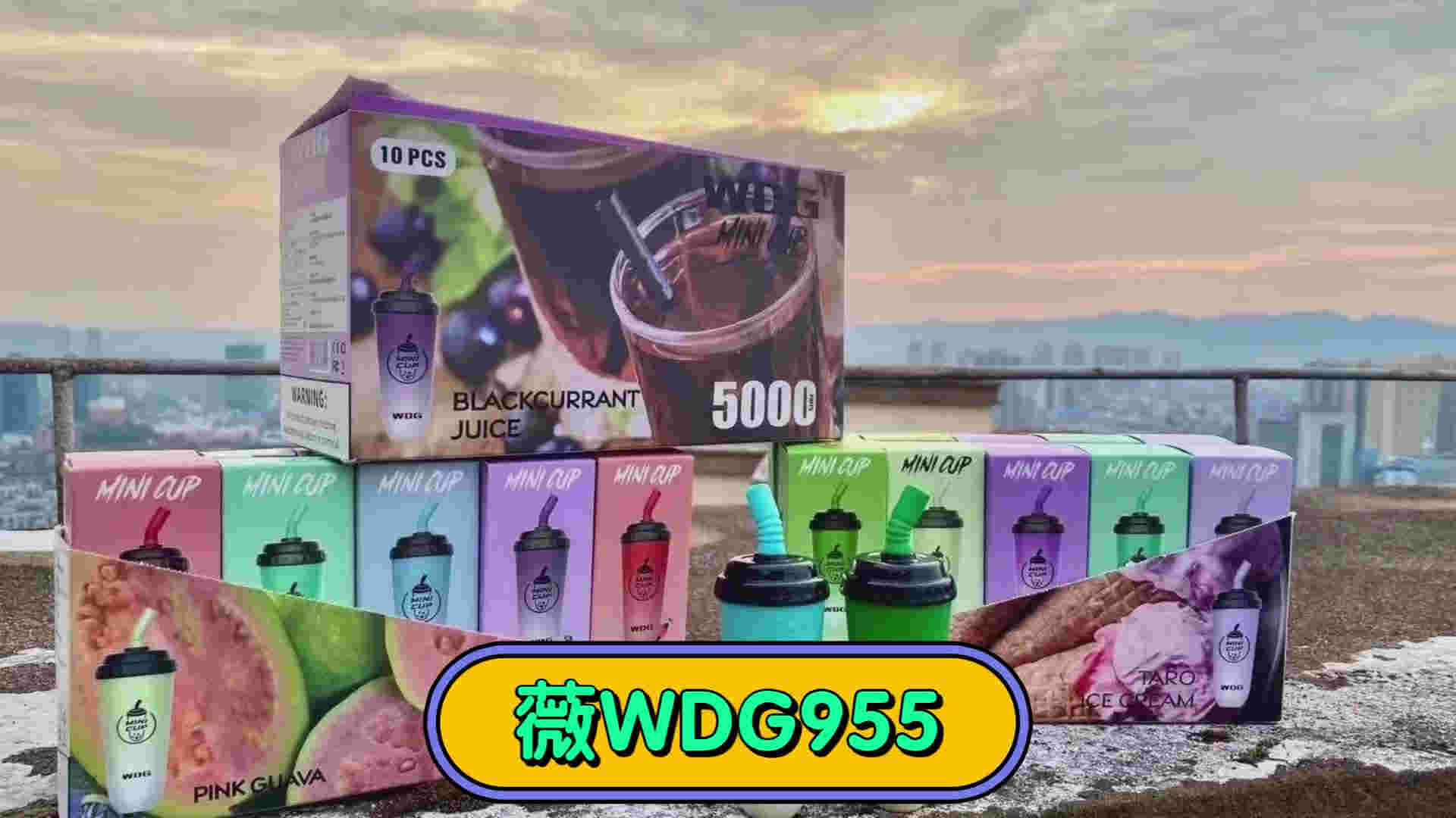 wdg奶茶杯哪里買-2023已更新(今日/更新)-第1張圖片-脈絡網