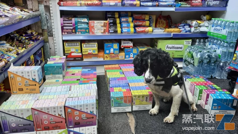 英國西約克郡查獲價值4.5萬英鎊的非法煙草和電子煙