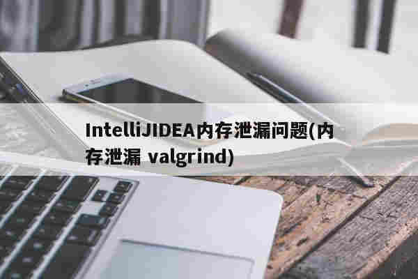 IntelliJIDEA內存泄漏問題(內存泄漏 valgrind)
