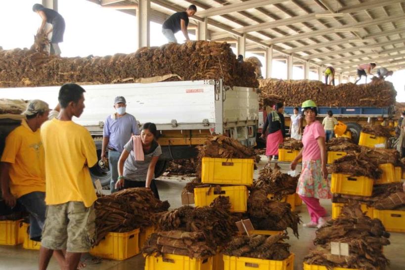 頭條！安徽煙草新商盟網上訂貨“后來居上”