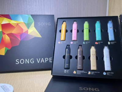 Song崧條 a06：一次性電子煙市場中的熱門之選