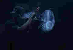 電子煙，是戒煙良方還是助吸推手？