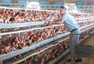 風沙窩變成“金銀鋪”（集中連片特困地區貧困村調研行）