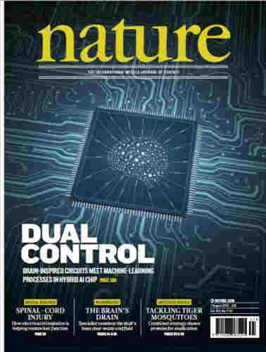零的突破！中國新型類腦計算芯片首登《自然》封面