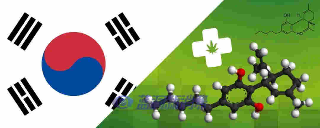為發展工業大麻，韓國成立自由特區，又投資390億韓元開發大麻CBD藥物 