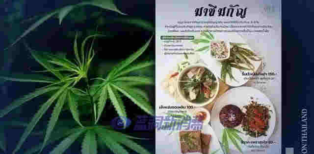 泰國專家稱：到2025年，大麻可為泰國制藥業創造80億泰銖的收入 