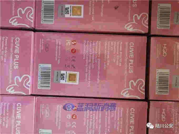 廣西陸川查獲3萬支假電子煙：價值400余萬，抓獲嫌犯2名 