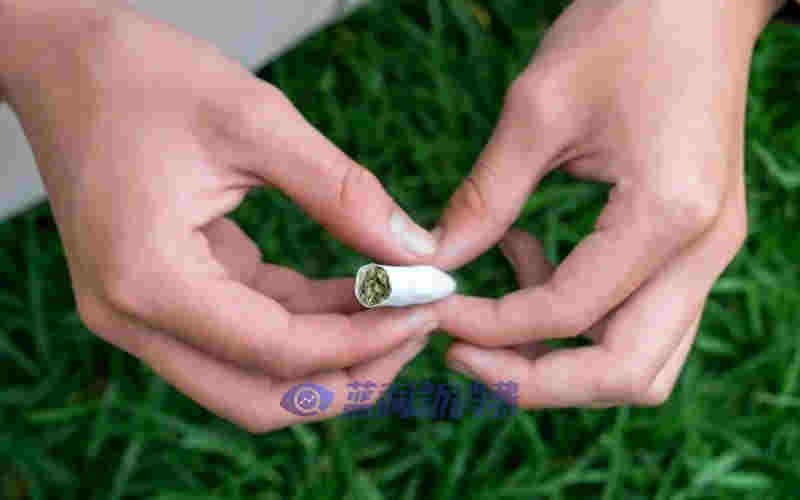 全球煙草巨頭豪擲1.7581億美元砸向大麻市場 