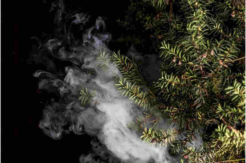 世衛組織對“有害”電子霧化煙發出警告