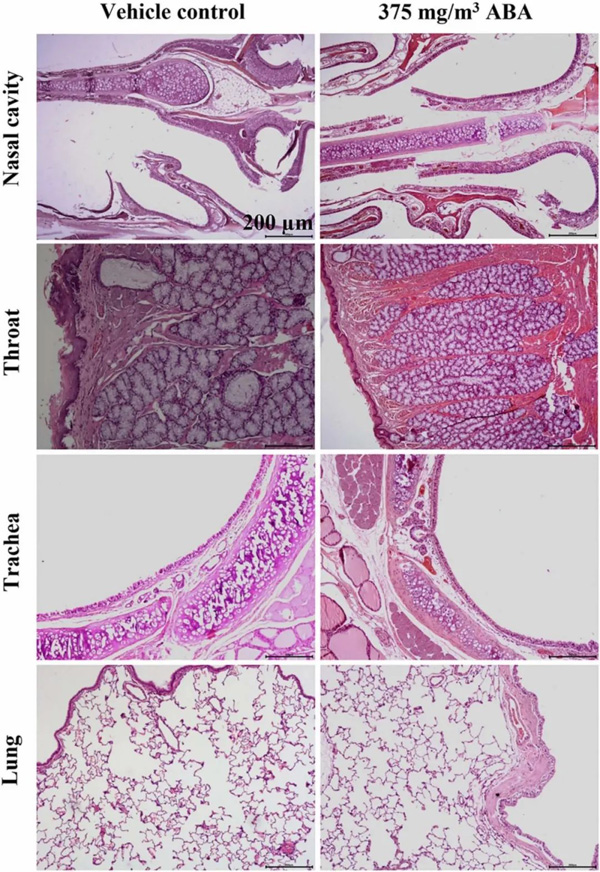 合元集團與水檳榔團隊聯合發表SCI論文，證實檳榔堿鹽霧化吸入安全性