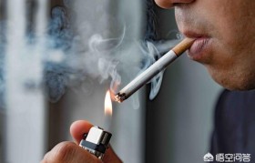 電子霧化器清肺，電子霧化器對身體有危害嗎