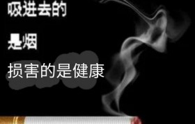蒸汽電子霧化器有危害嗎？電子草本霧化器對身體有危害嗎